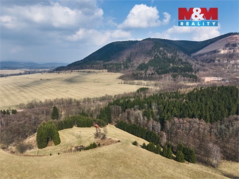 Prodej lesu, 16 741 m² 2