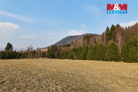 Prodej lesu, 16 741 m² 12