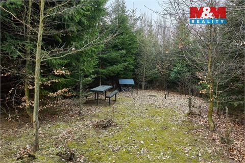 Prodej lesu, 16 741 m² 18