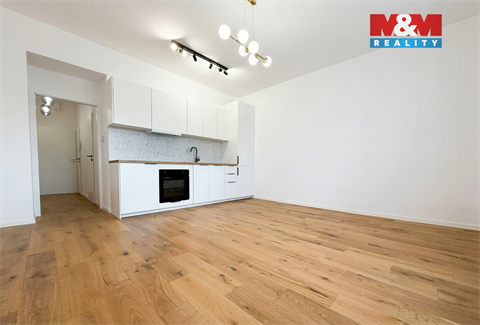 Pronájem bytu 1kk, 30 m² 4