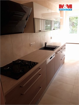 Pronájem bytu 3+1, 79 m² 22