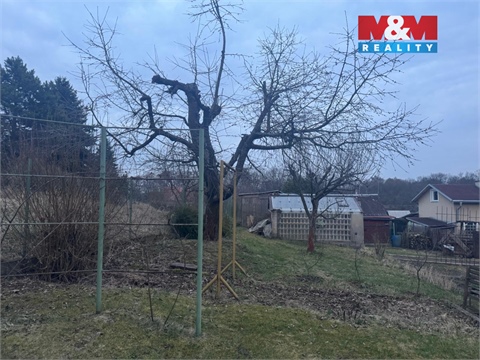 Prodej zahrady, 388 m² 6