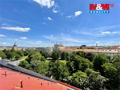 Pronájem obchodních prostor, 18 m² - 6