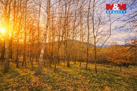 Prodej louky, 5 876 m² 2