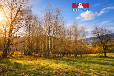 Prodej louky, 5 876 m² 0