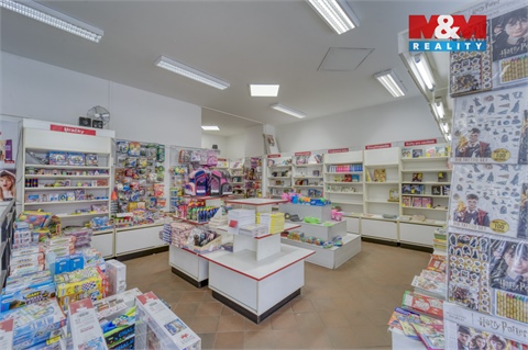 Pronájem obchodních prostor, 304 m² - 6