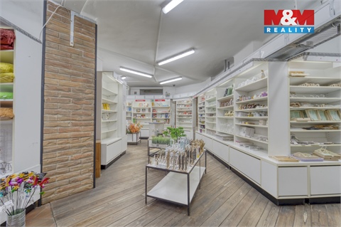 Pronájem obchodních prostor, 304 m² 10