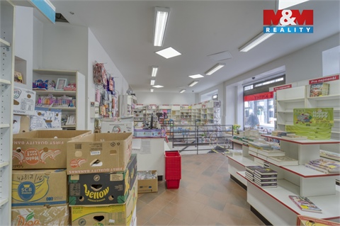 Pronájem obchodních prostor, 304 m² - 4