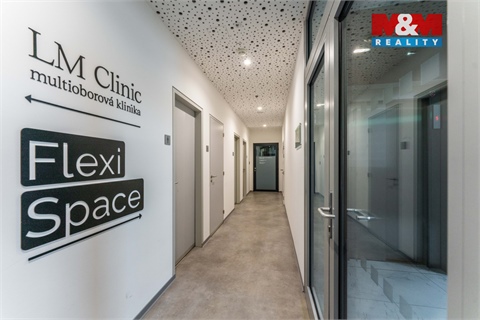 Pronájem obchodních prostor, 30 m² 18