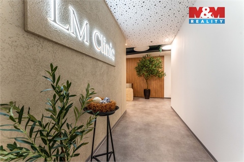 Pronájem obchodních prostor, 30 m² - 0