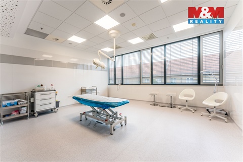 Pronájem obchodních prostor, 30 m² - 4