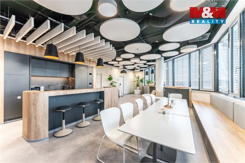 Pronájem obchodních prostor, 30 m² - 14