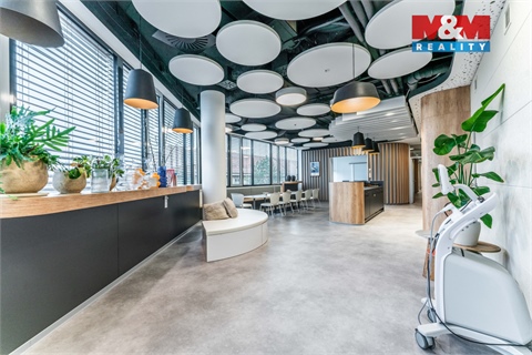 Pronájem obchodních prostor, 30 m² 16