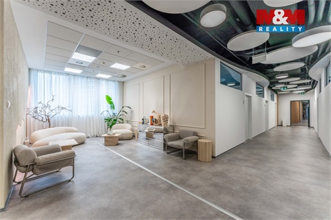 Pronájem obchodních prostor, 30 m² - 10