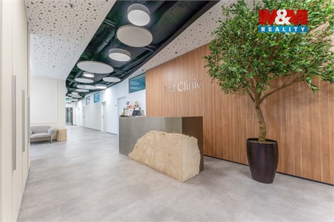 Pronájem obchodních prostor, 30 m² - 8