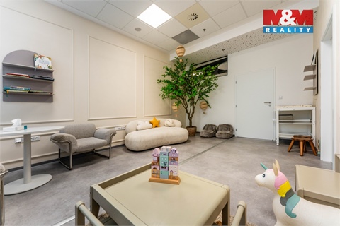 Pronájem obchodních prostor, 30 m² - 12