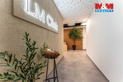 Pronájem komerčního objektu, 30 m² 2