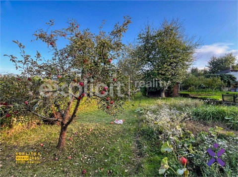 Prodej zahrady, 261 m² 8