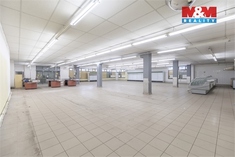 Prodej obchodních prostor, 1 150 m² - 16