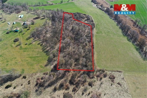 Prodej lesu, 20 042 m² - 0