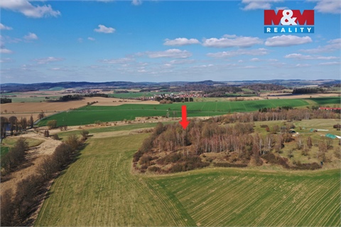 Prodej lesu, 20 042 m² 8