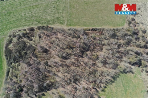 Prodej lesu, 20 042 m² 4