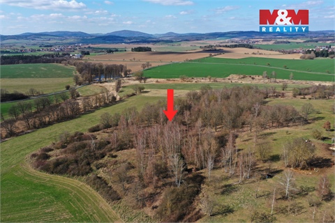 Prodej lesu, 20 042 m² 2