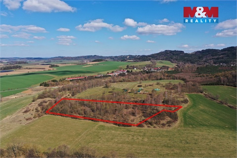 Prodej lesu, 20 042 m² - 2