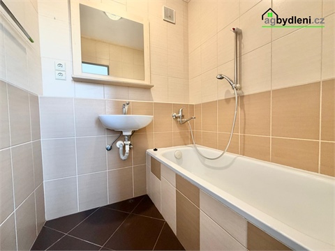 Pronájem bytu 2+1, 60 m² 8