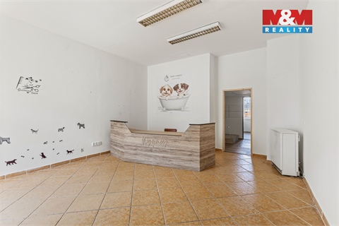 Prodej obchodních prostor, 744 m² 28