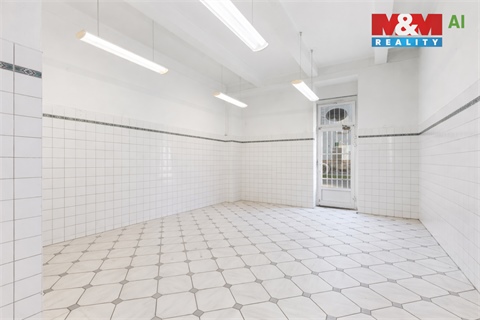 Prodej obchodních prostor, 744 m² - 8