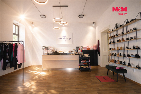 Pronájem obchodních prostor, 109 m² 6