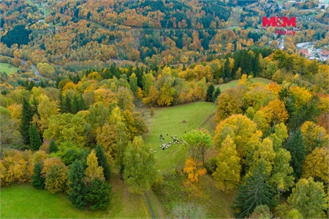 Prodej louky, 1 589 m² 4