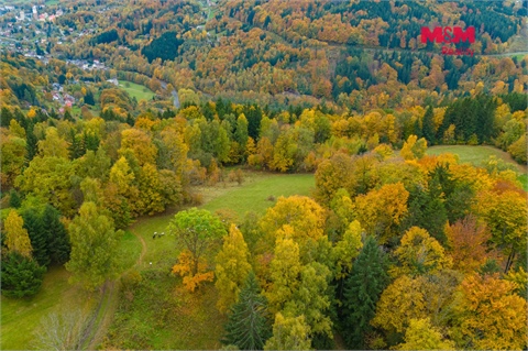 Prodej louky, 1 589 m² - 4