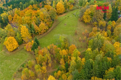 Prodej louky, 1 589 m² 8