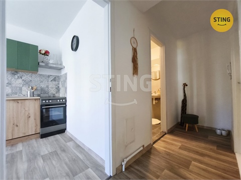 Prodej bytu 1+1, 29 m² 4