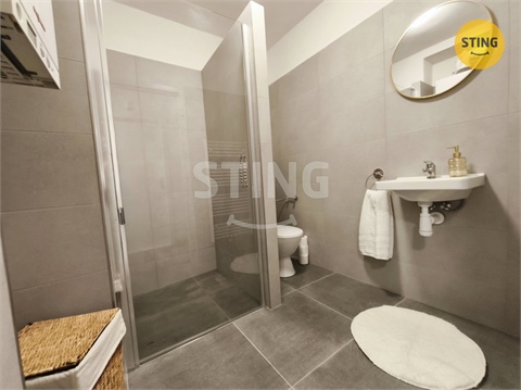 Prodej bytu 1+1, 29 m² 2