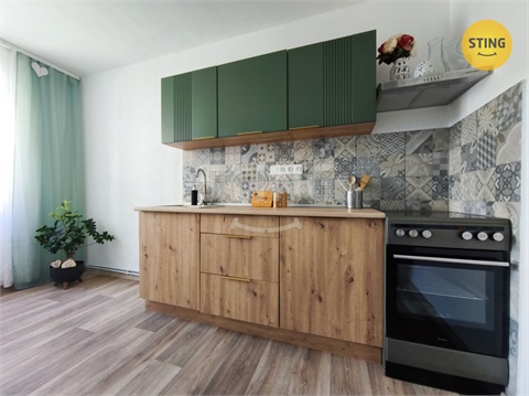 Prodej bytu 1+1, 29 m² 0