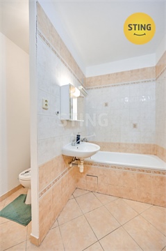 Prodej bytu 2+1, 43 m² - 14