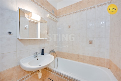 Prodej bytu 2+1, 43 m² 16