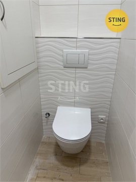 Pronájem bytu 2+1, 53 m² 10