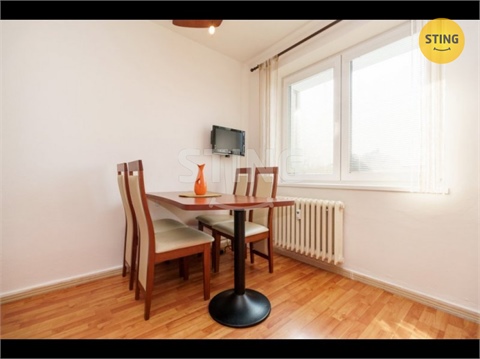 Prodej bytu 1+1, 45 m² - 4