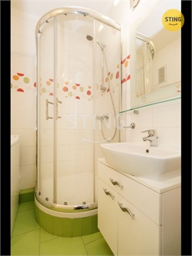 Prodej bytu 1+1, 45 m² 10