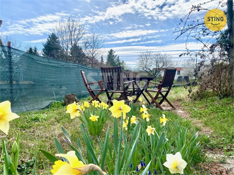 Prodej zahrady, 100 m² 6