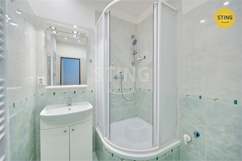 Pronájem bytu 2+1, 57 m² 10