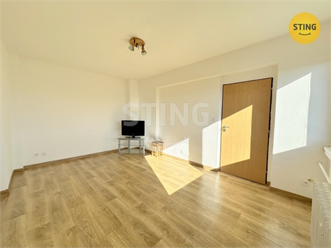 Pronájem bytu 2+1, 49 m² - 4