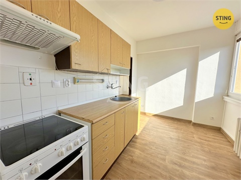 Pronájem bytu 2+1, 49 m² - 2