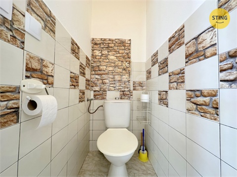 Pronájem bytu 2+1, 49 m² 6