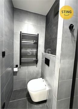 Pronájem bytu 1kk, 30 m² 10