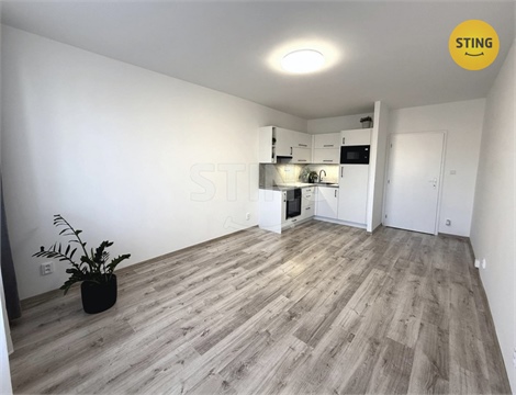 Pronájem bytu 1kk, 30 m² - 6